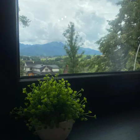 Rolicek 4 Seosons Apartments Zakopane Eksteriør bilde