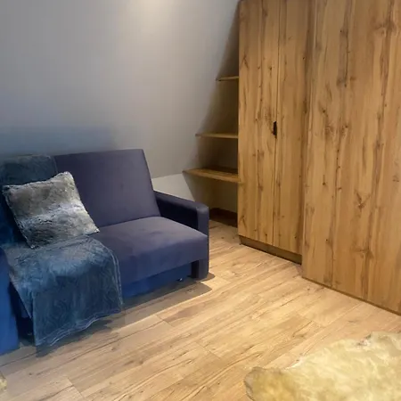 Rolicek 4 Seosons Apartments Zakopane Eksteriør bilde