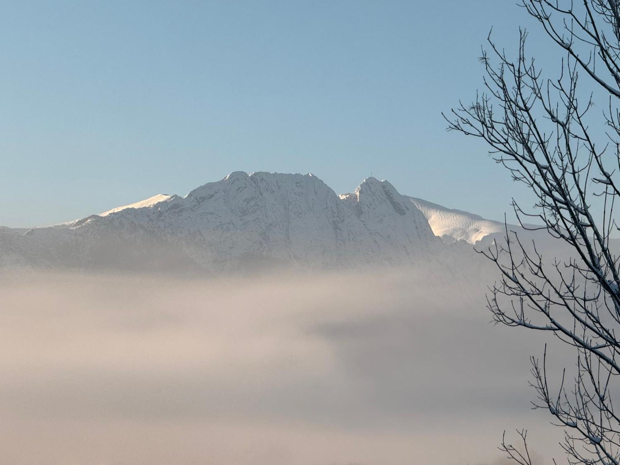 Rolicek 4 Seosons Leilighet Zakopane